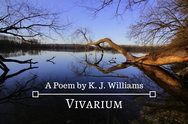 Vivarium by K.J.&nbsp;Williams